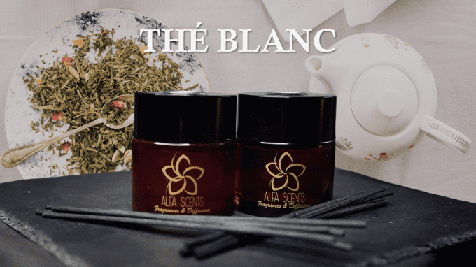 Bâtonnets parfumés "Thé Blanc"